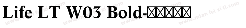 Life LT W03 Bold字体转换